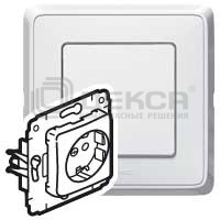 773621 LEG  2+   CAR